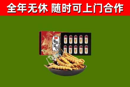 集安市回收冬虫夏草价格