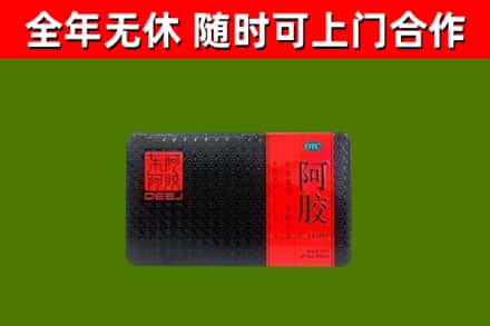 集安市回收阿胶