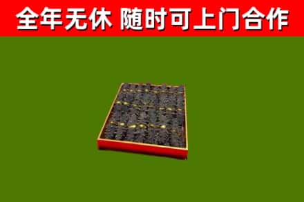 集安市回收海参